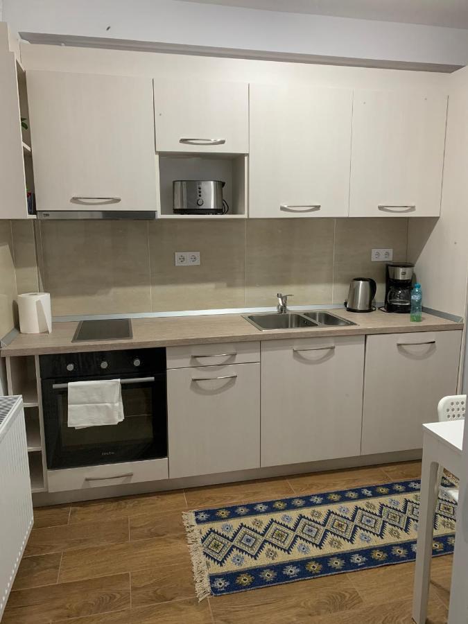 Welcoming Gemini Apartment 1 Сибиу Екстериор снимка